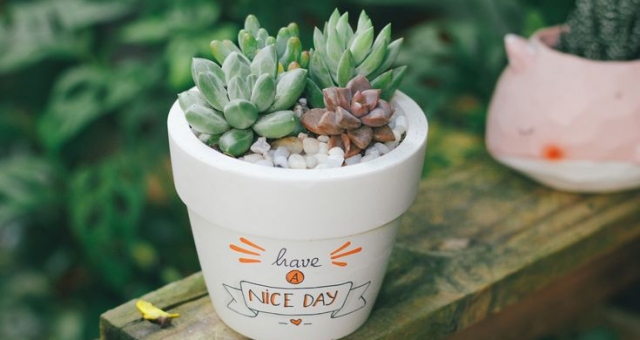 Giới thiệu công ty